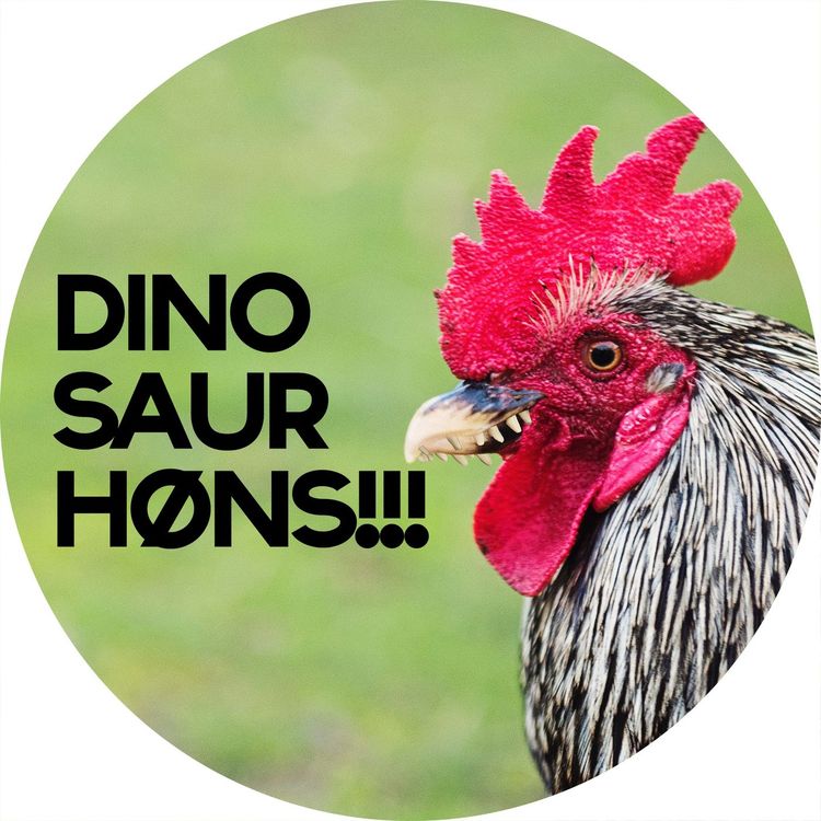 cover art for #1.22: DINOSAURHØNS!!!
