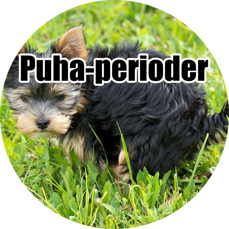 cover art for #1.18: Puha-perioder