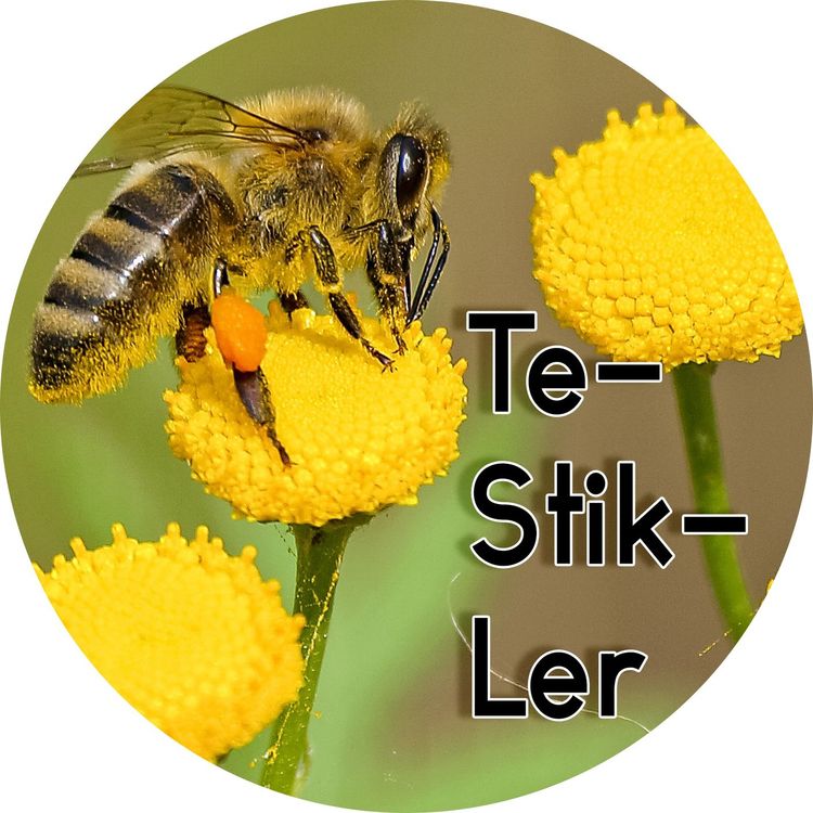 cover art for #1.17: Te-Stik-Ler