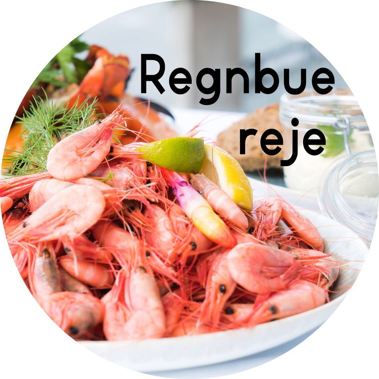 cover art for #1.16: Regnbuerejen