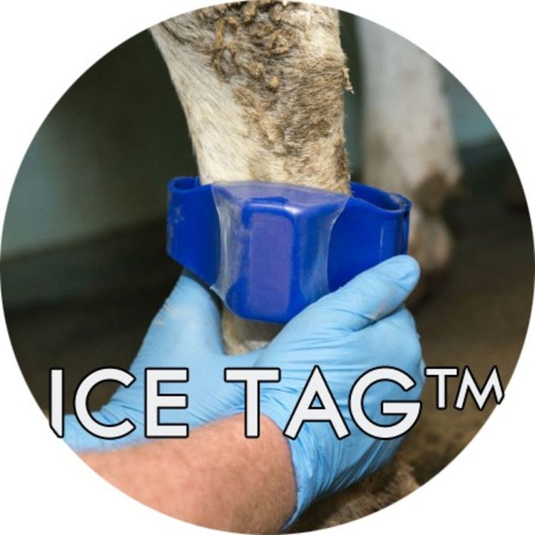 cover art for #1.08: Ice Tag (TM)