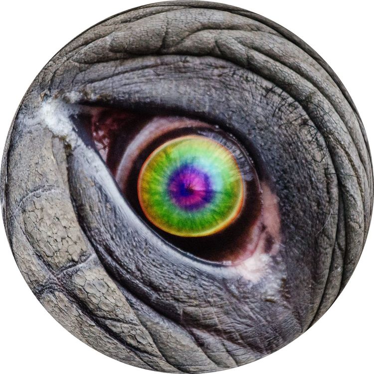 cover art for #1.02: Elefanter på LSD