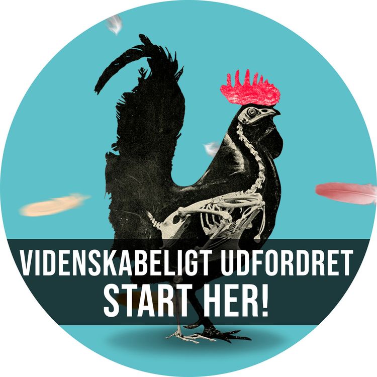 cover art for #0.0: Start Her! (Ny version)