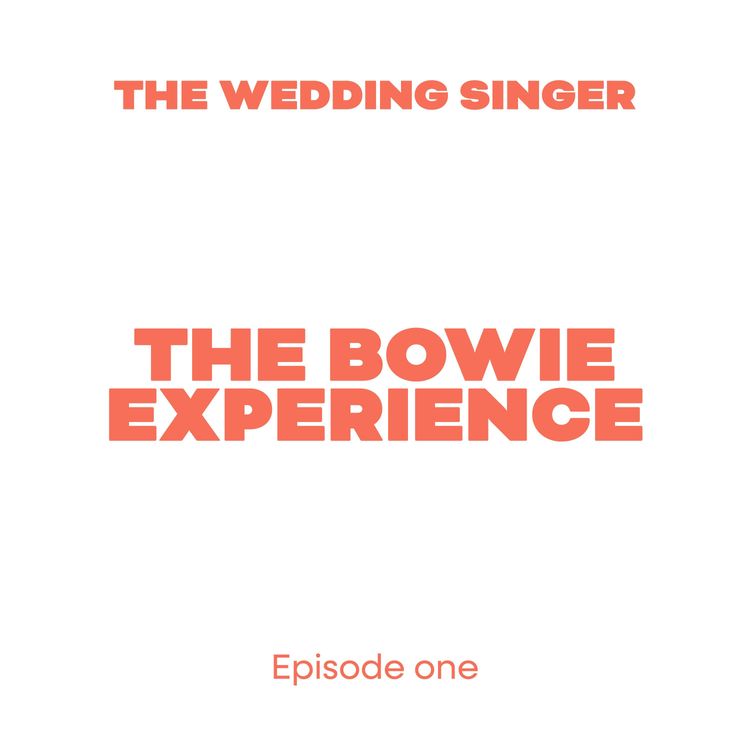 cover art for The Bowie Experience