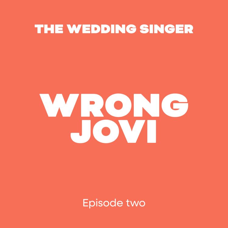 cover art for Wrong Jovi