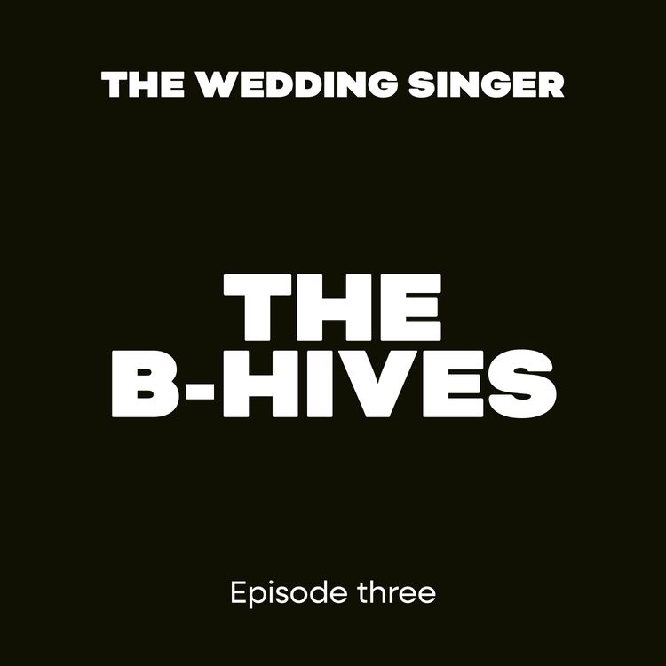 cover art for The B-Hives