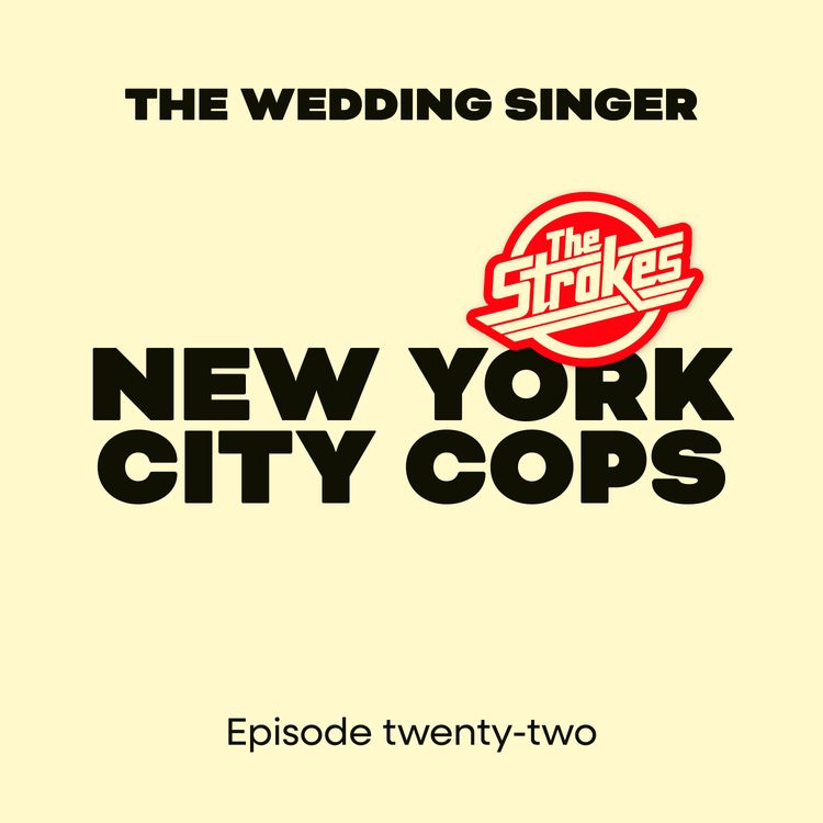 cover art for New York City Cops
