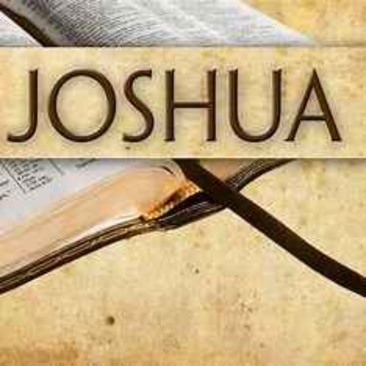 cover art for Joshua #23