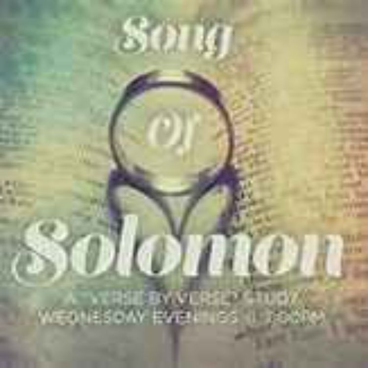 cover art for Song of Solomon #8