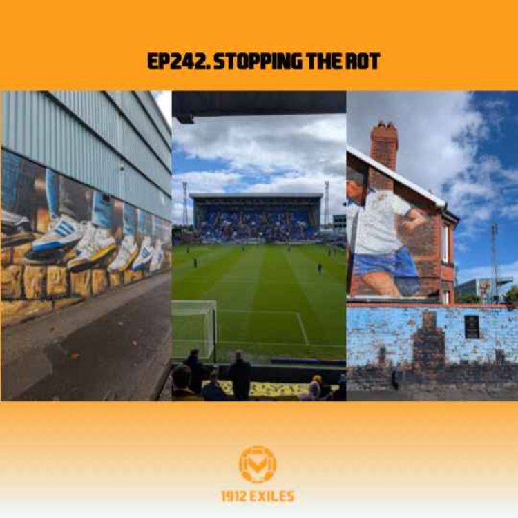 cover art for #242: Stopping the rot