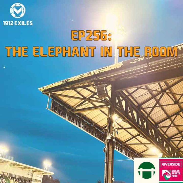 cover art for #256: The elephant in the room