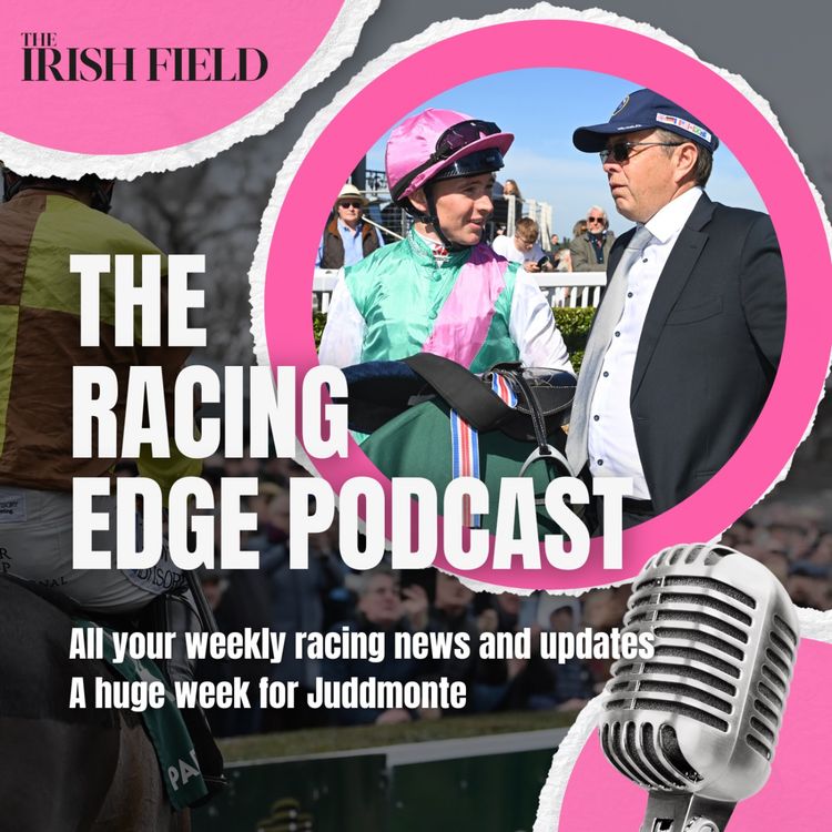 cover art for Ep 85: The Racing Edge Podcast Ep 15 – Hot Wings and Hot Takes!