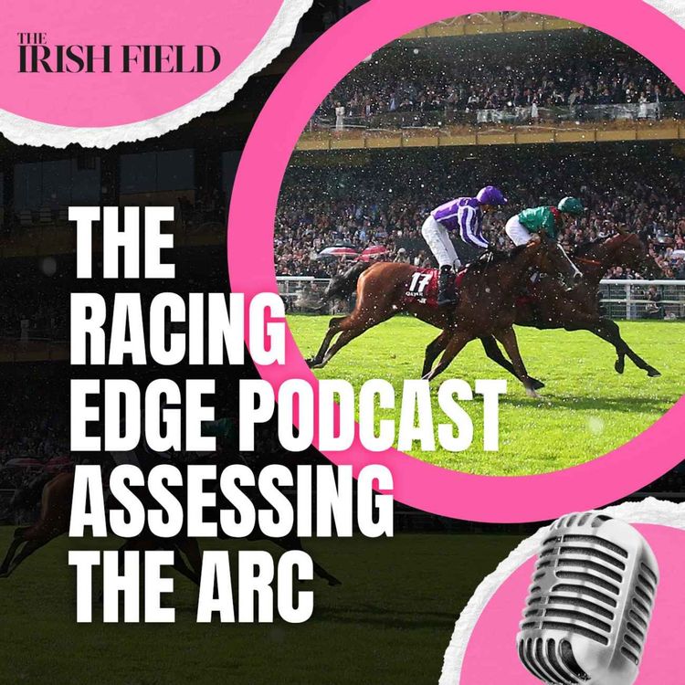 cover art for Ep 113: The Racing Edge Podcast Ep 35 – Assessing the Arc