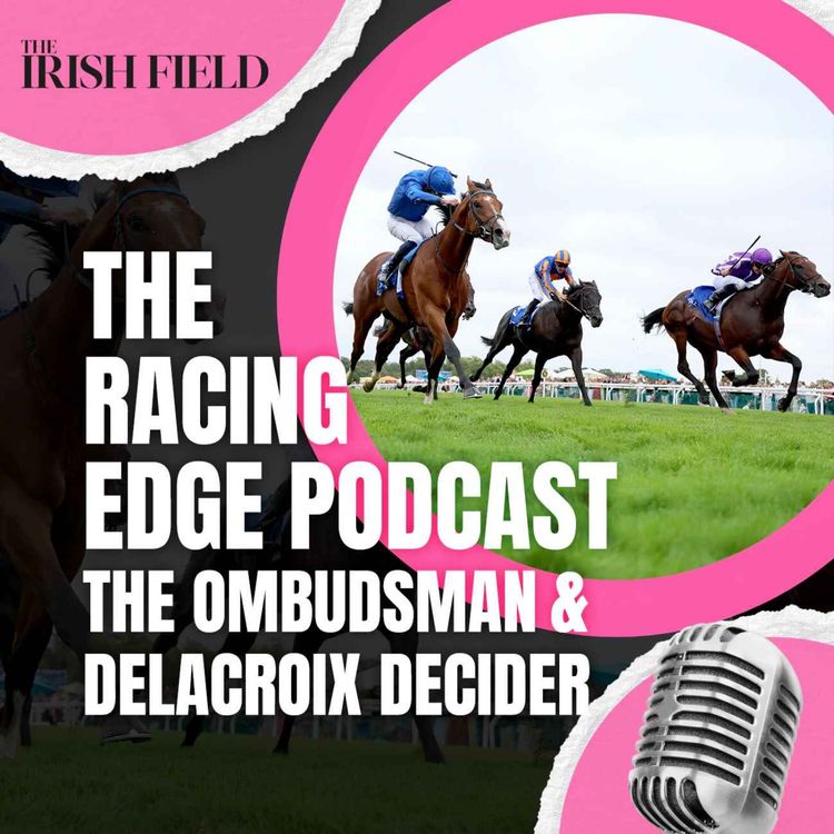 cover art for Ep 115: The Racing Edge Podcast Ep 36 – The Ombudsman and Delacroix decider