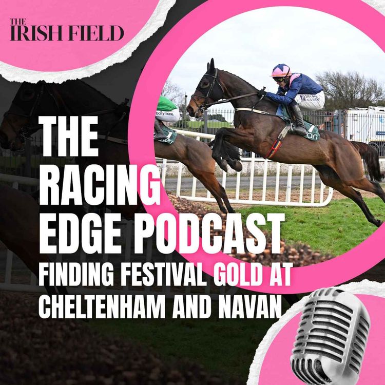 cover art for Ep 122: The Racing Edge Podcast Ep 41 – Finding festival gold at Cheltenham and Navan