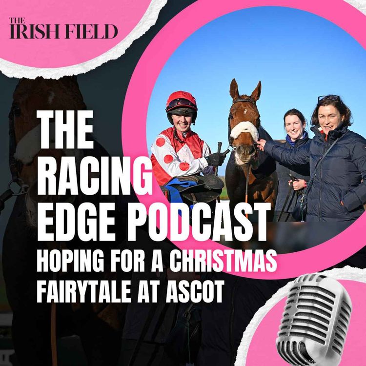 cover art for Ep 126: The Racing Edge Podcast Ep 45 – Hoping for a Christmas fairytale at Ascot.