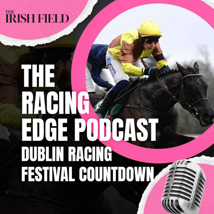 cover art for Ep 131: The Racing Edge Podcast Ep 50 – Dublin Racing Festival countdown