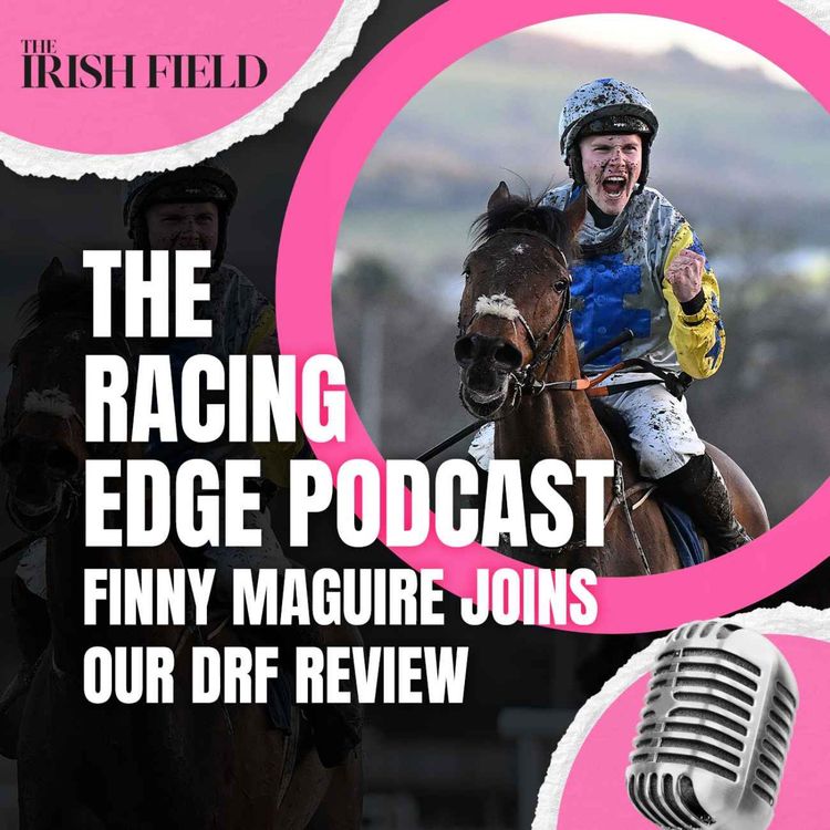 cover art for Ep 133: The Racing Edge Podcast Ep 52 – Finny Maguire joins our Dublin Racing Festival review