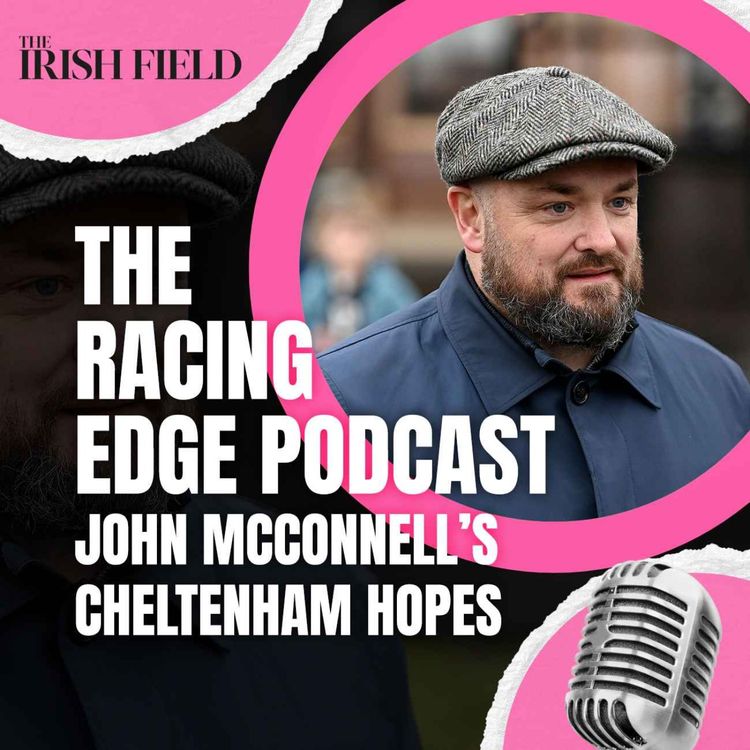 cover art for Ep 135: The Racing Edge Podcast Ep 54 – John McConnell talks Cheltenham, Constitution Hill and weekend winners
