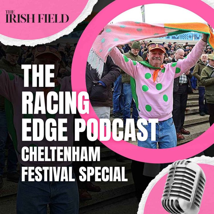 cover art for Ep 138: The Racing Edge Podcast Ep 57 – Cheltenham Festival special