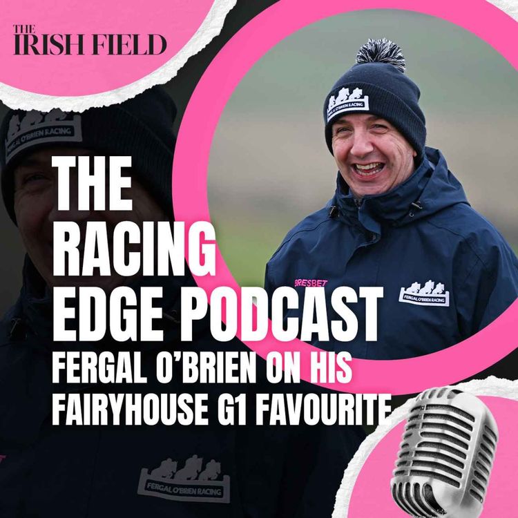cover art for Ep 142: The Racing Edge Podcast Ep 60 – Fergal O’Brien on his Fairyhouse Grade 1 favourite