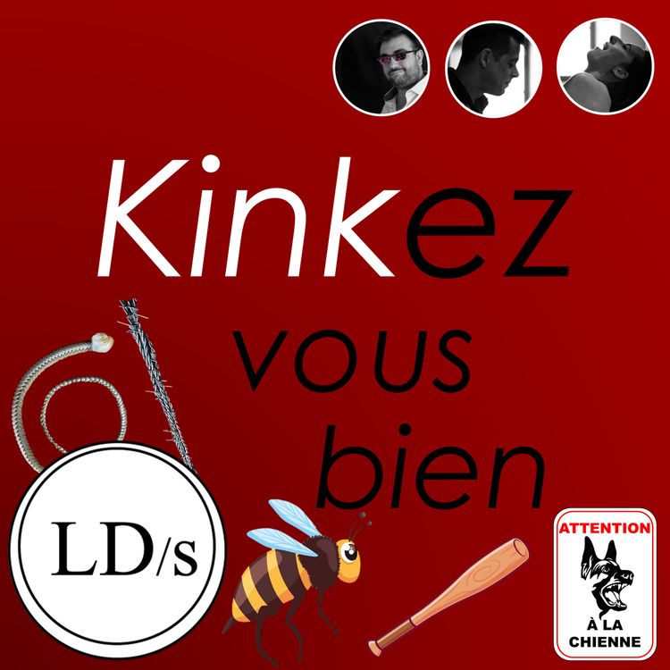 cover art for KVB 2.19 - D - Wannick et la guêpe 