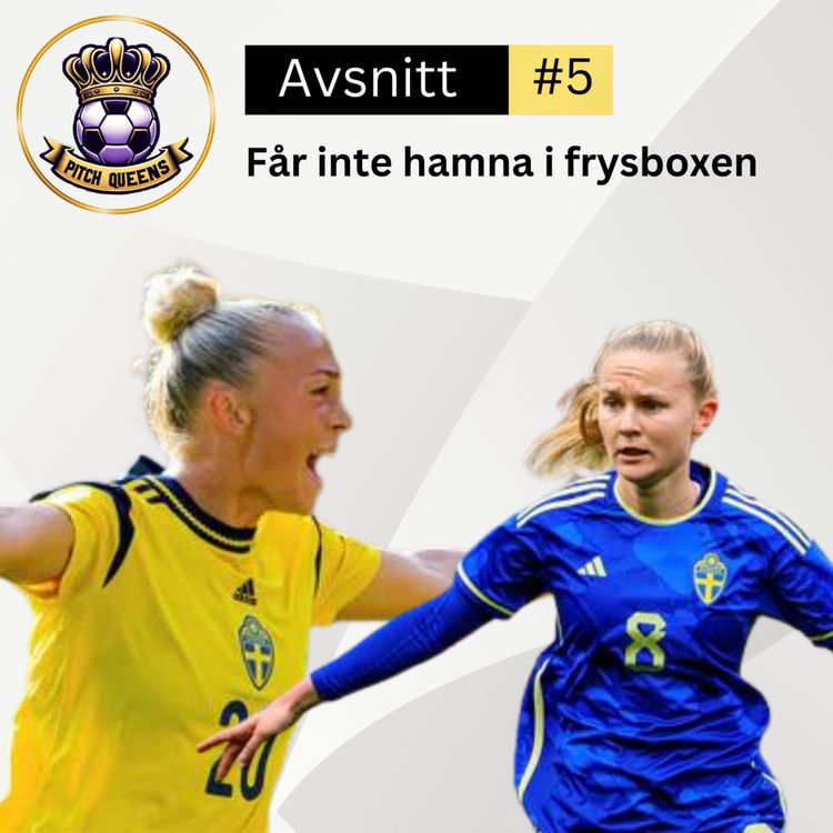 cover art for 5. Får inte hamna i frysboxen