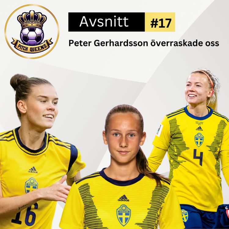 cover art for 17.Peter Gerhardsson överraskade oss