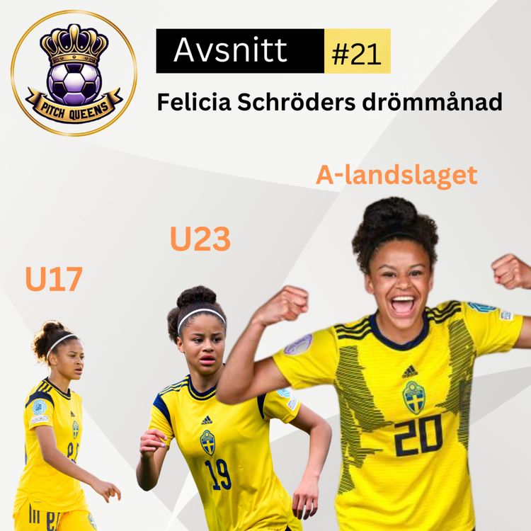 cover art for 21. Felicia Schröders drömmånad