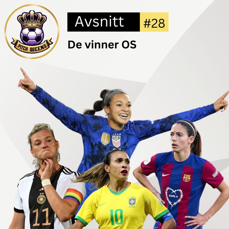 cover art for 28. De vinner OS