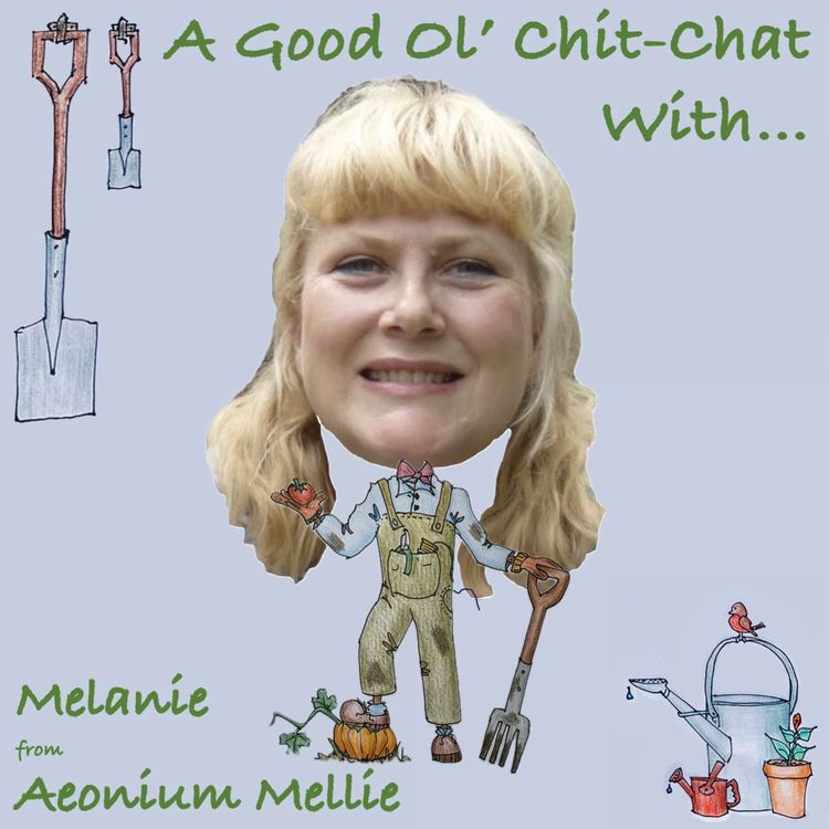 cover art for Ep7: A Good Ol' Chit-Chat With... Melanie Lewis