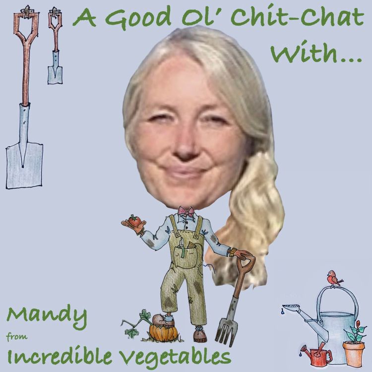 cover art for Ep10: A Good Ol' Chit-Chat With... Mandy Barber