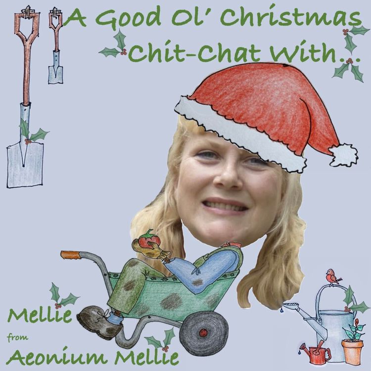 cover art for Ep17: A Good Ol' Christmas Chit-Chat With... Mellie Lewis