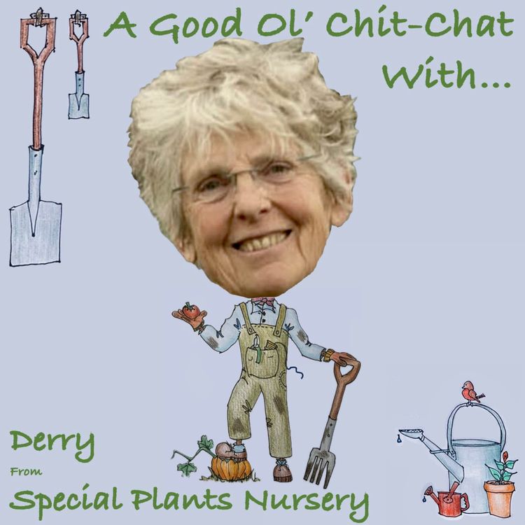 cover art for Ep23: A Good Ol' Chit-Chat With... Derry Watkins