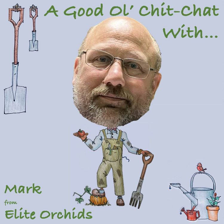 cover art for Ep24: A Good Ol' Chit-Chat With... Mark Turner