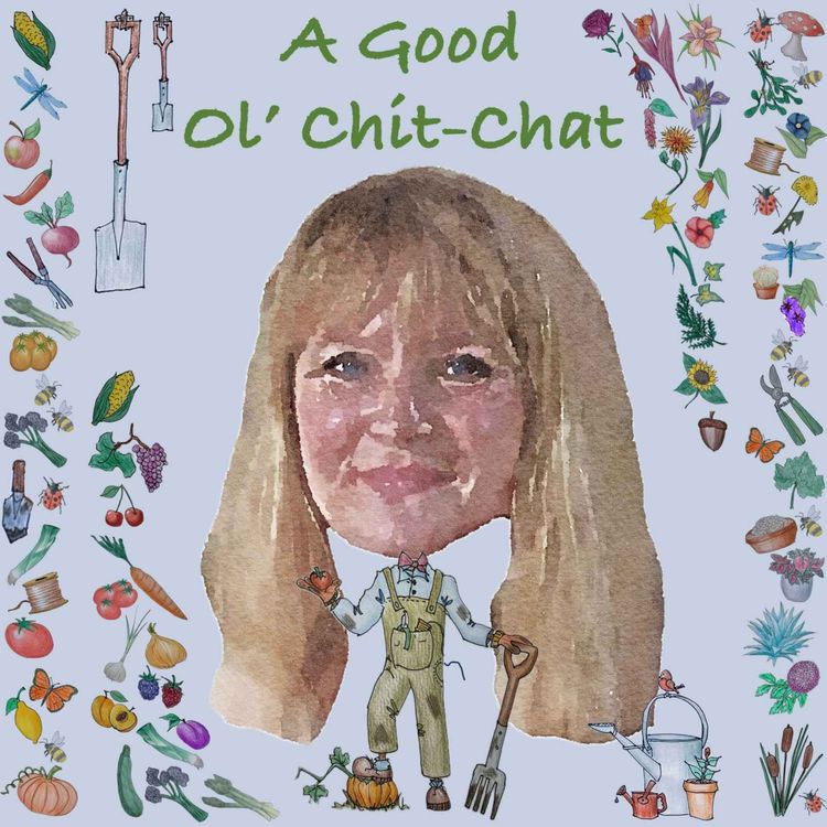 cover art for Ep29: A Good Ol' Chit-Chat With... Layla Robinson