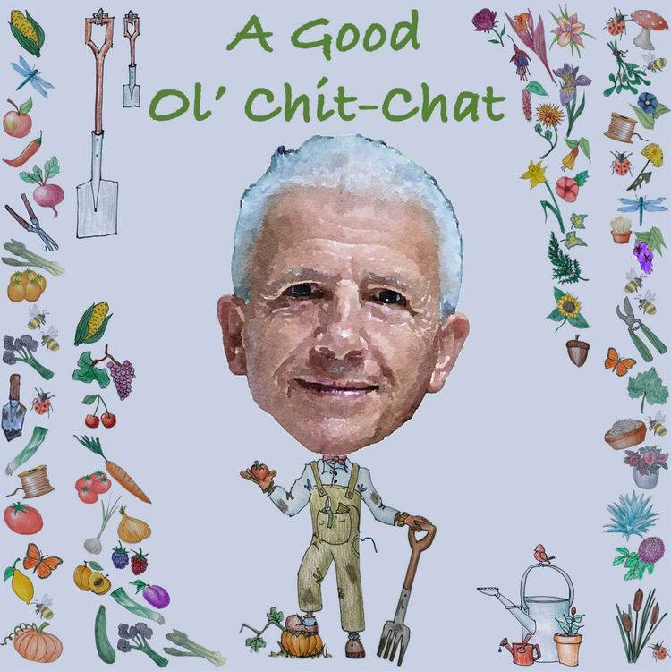 cover art for Ep30: A Good Ol' Chit-Chat With... Patrick Gale