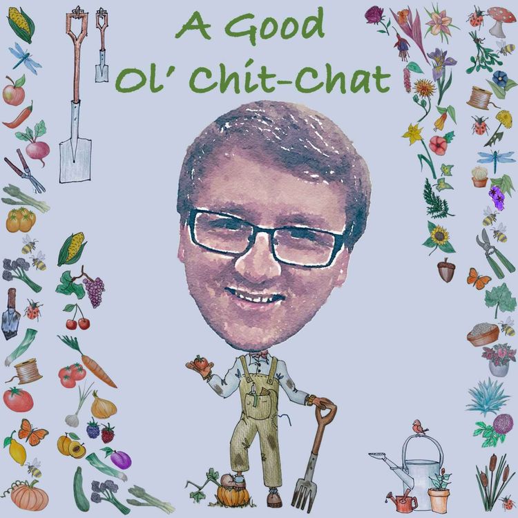 cover art for Ep31: A Good Ol' Chit-Chat With... Adam Jones