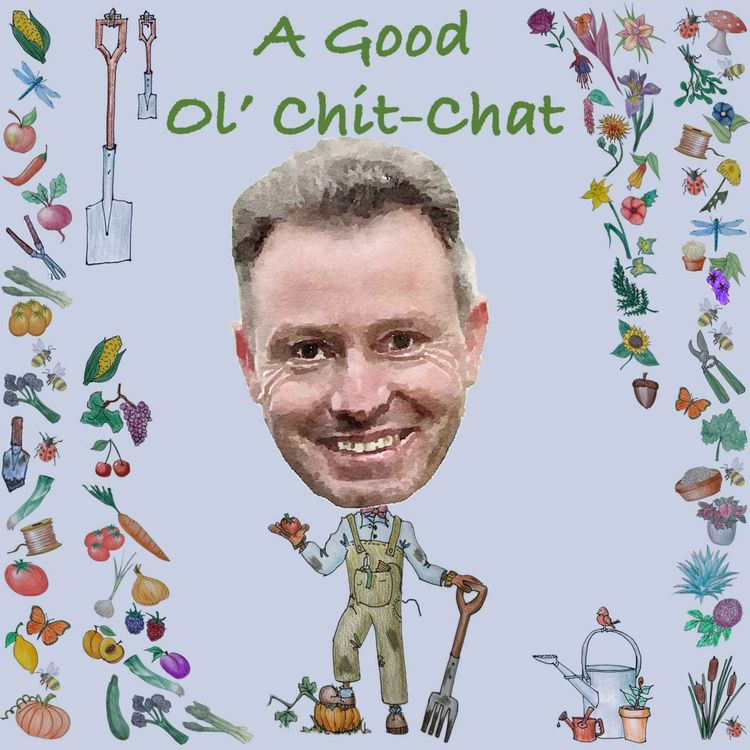 cover art for Ep32: A Good Ol' Chit-Chat With... Wayne Williams