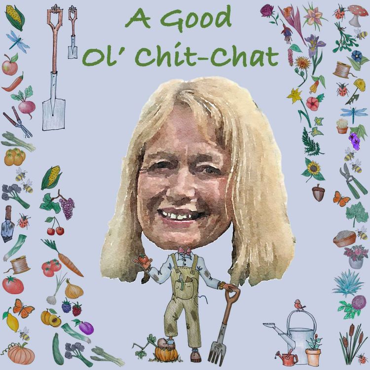 cover art for Ep33: A Good Ol' Chit-Chat With... Fiona Cumberpatch