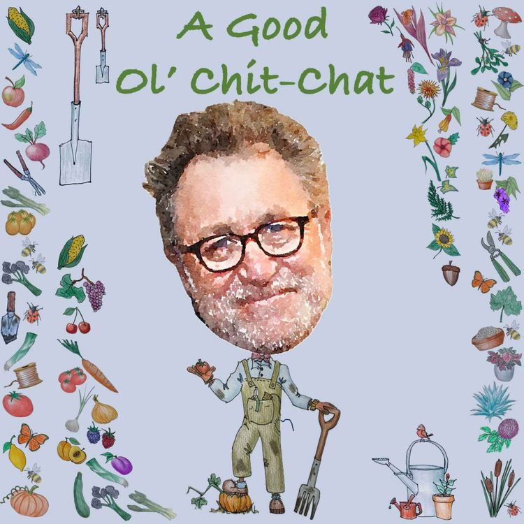 cover art for Ep39: A Good Ol' Chit-Chat With... Martin Dohrn