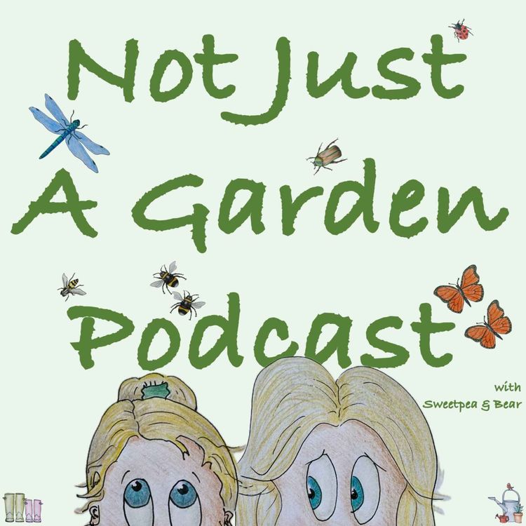 cover art for Gardeners' World 2025 Winter Special Recap: Ep 1