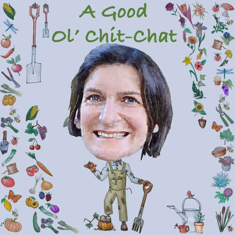 cover art for Ep41: A Good Ol' Chit-Chat With... Tamsin Westhorpe