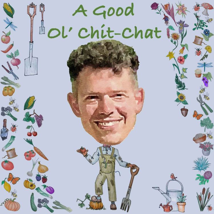cover art for Ep43: A Good Ol' Chit-Chat With... Nate Moss