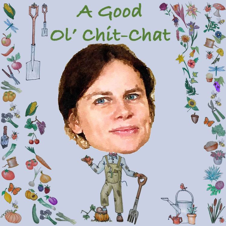 cover art for Ep47: A Good Ol' Chit-Chat With... Alla Olkhovska