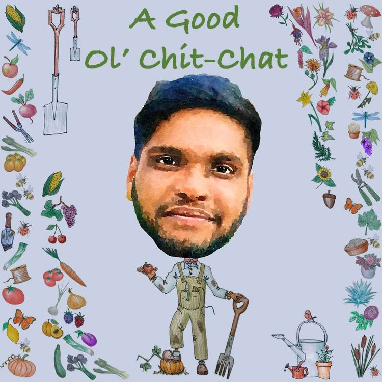 cover art for Ep48: A Good Ol' Chit-Chat With... Gokul Asokan