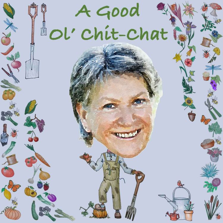 cover art for Ep49: A Good Ol' Chit-Chat With... Liz Zorab