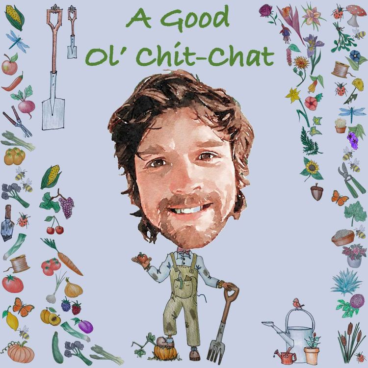 cover art for Ep51: A Good Ol' Chit-Chat With... Chris D'Agorne