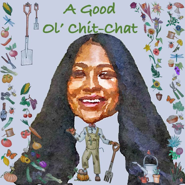 cover art for Ep53: A Good Ol' Chit-Chat With... Sophia Gray