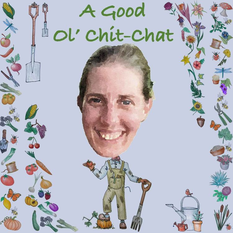 cover art for Ep55: A Good Ol' Chit-Chat With... Pippa Chapman